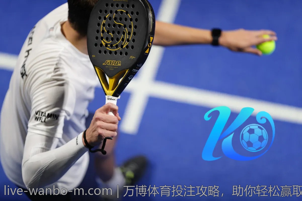 万博体育投注攻略,助你轻松赢取大奖