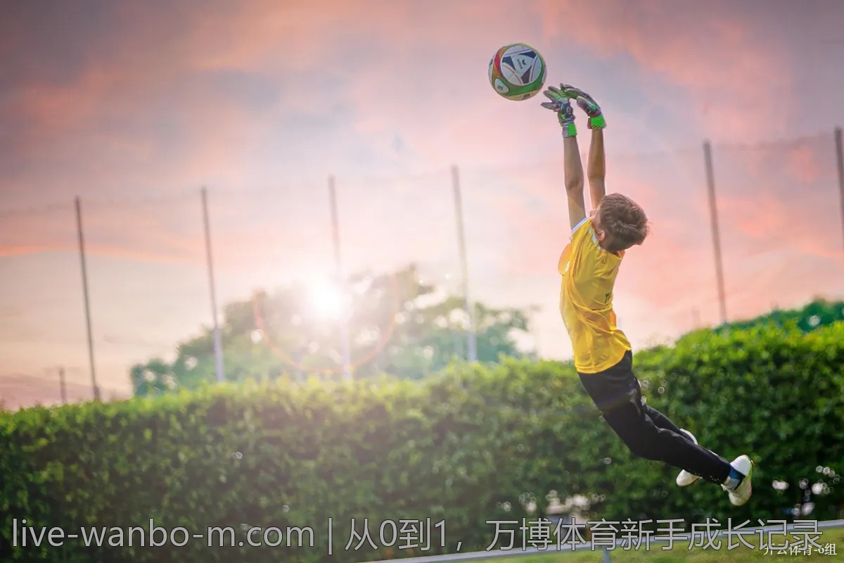 从0到1,万博体育新手成长记录