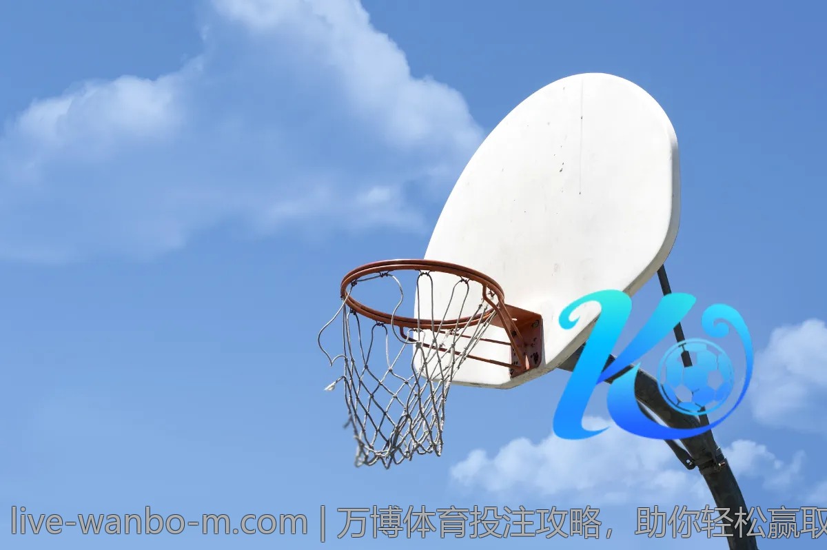 万博体育投注攻略,助你轻松赢取大奖