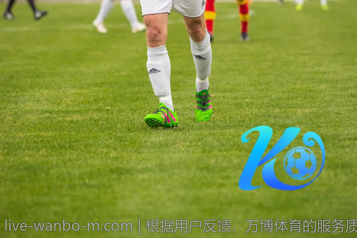 根据用户反馈,万博体育的服务质量如何?